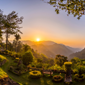  Hotel De Park Shimla